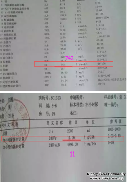 Say Bye bye To Dialysis