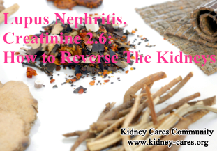 treatment for lupus nephritis with high creatinine 2.6