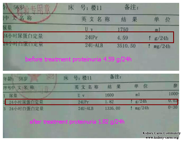 Chinese Medicine: Good Choice to Reduce Proteinuria in Nephrotic Syndrome