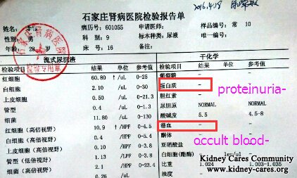 Purpura Nephritis: Proteinuria+- and Occult Blood 2+ Turned Negative Without Steroids