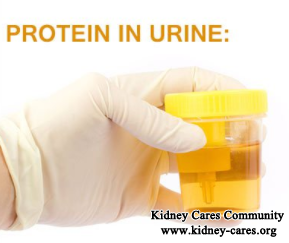 Cure Treatment Of Protein in Urine for IgA Nephropathy Patients