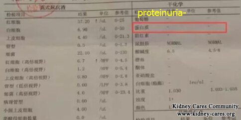 Battle History Against Diabetic Nephropathy for Foodie