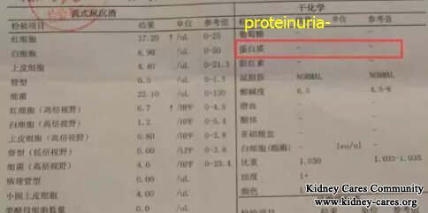 Battle History Against Diabetic Nephropathy for Foodie