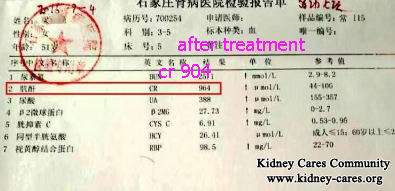 Toxin-Removing Treatment, Obvious Effects On Uremia Patient