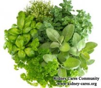 Can Your Kidneys Be Restored with Herbs if They Are Damaged