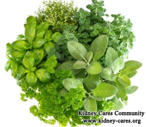 Can Your Kidneys Be Restored with Herbs if They Are Damaged