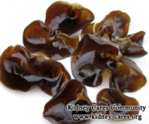 Can Lupus Nephritis Patients Eat Black Fungus