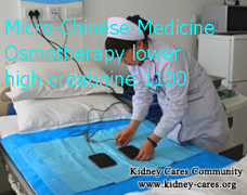 High Creatinine 1100: Can Micro-Chinese Medicine Osmotherapy Help Me