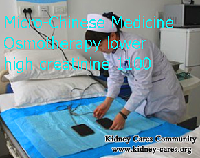 High Creatinine,High Creatinine Treatment,Micro-Chinese Medicine Treatment for high creatinine 