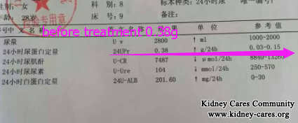 Chinese Medicines Reduce 24UPr 0.38 To 0.17g In IgA Nephropathy