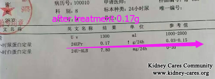 Chinese Medicines Reduce 24UPr 0.38 To 0.17g In IgA Nephropathy