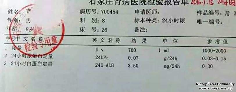 Nephrotic Syndrome: 24 Upr Reduced from 3.34 to 0.07 Naturally