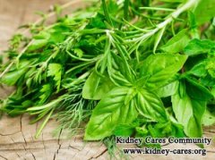 What Herbs Will Clean My Blood Like A Kidney if I Am on Dialysis