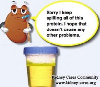 What Can Decrease Proteinuria with Lupus