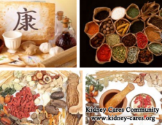 Proteinuria 2+ and Hematuria 2+ in Nephritis: Chinese Medicine Treatment is a Good Choice