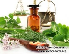 Can Kidneys Rejuvenate After Damage for Chronic Kidney Failure Patients