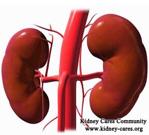 Do Kidneys Shrink When They Fail
