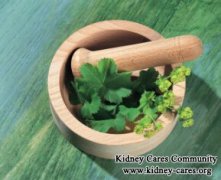 What Is the Herbal Treatment for Kidney Cysts