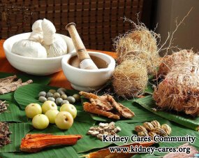 Can Kidneys Repair Themselves at Stage 4