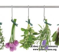 Chinese Herbs for Stage 4 Kidney Disease