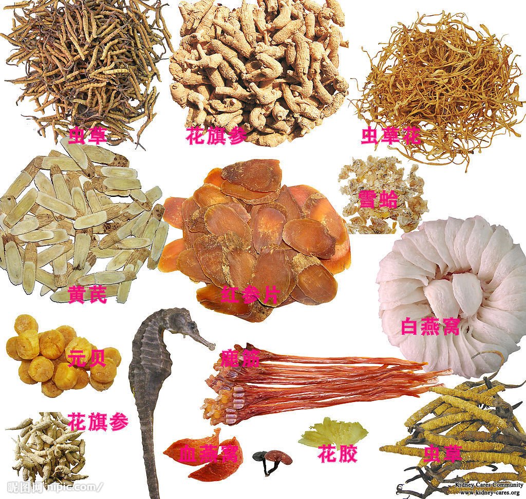 The Good Option for PKD Patients with Chinese Medicine 