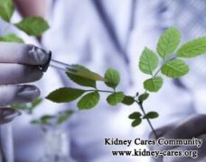 How to Improve My Kidneys When My Creatinine Level Is 8.7
