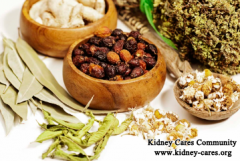 How To Lower Level Of Creatinine In Blood Without Dialysis
