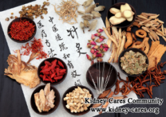 Chinese Medicine Treatment for Chronic Kidney Failure And Diet Suggestions