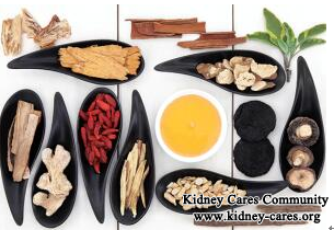 Treat Lupus Nephritis with Traditional Chinese Medicine