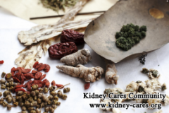 Is There Any Remedy For A Creatinine 675 and Urea 30.5