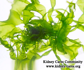 Seaweed for Stage 5 Kidney Failure Patients 