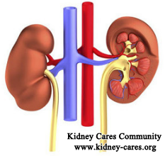 I Would Like Alternatives For Kidney Failure