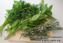 How to Detoxify Blood for CKD Patients
