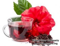 Is Hibiscus Tea Good for Kidney Patients