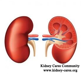 What Can Be Done to Reverse Kidney Damage