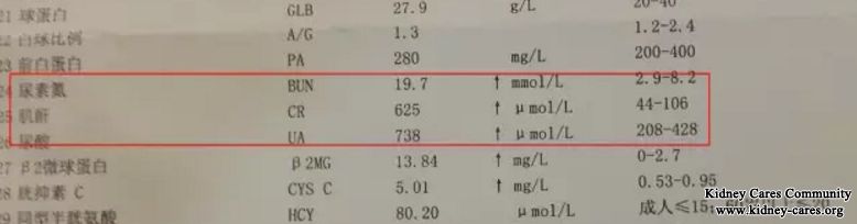 Treat Proteinuria, High Urea and Creatinine Level In This Way