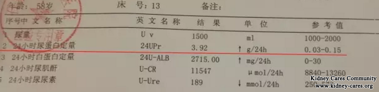 Treat Proteinuria, High Urea and Creatinine Level In This Way