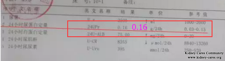 Treatment for Proteinuria In Nephritis  