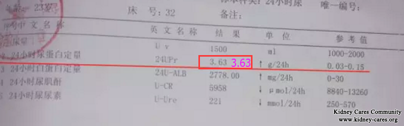 Toxin-Removing Treatment Reduce Proteinuria In Membranous Nephropathy