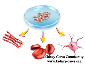 Reduce High Creatinine Level 9 Without Dialysis 