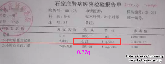 Treatment for Lupus Nephritis In Our Hospital 