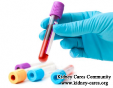What Can Be Done for High Creatinine Level 7