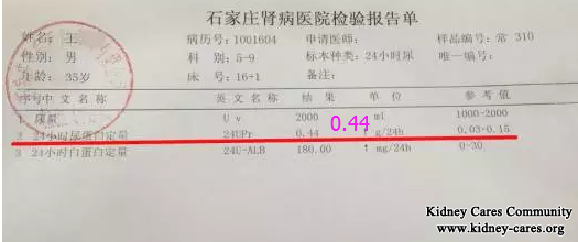 Proteinuria Treatment In Nephrotic Syndrome 