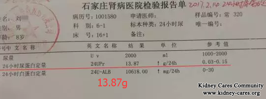 Can Proteinuria 13.87g Be Reduced In Kidney Patient