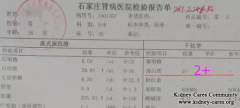 Protein 2+ Become Negative In Nephrotic Syndrome