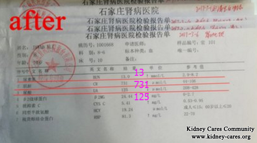 How To Reduce High Creatinine Level 1084 In Kidney Failure Effectively