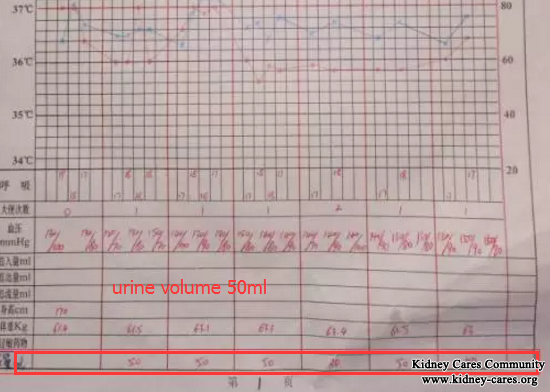 Chinese Toxin-Removing Treatment for Kidney Failure Patients 