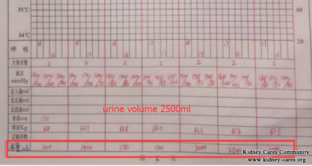 Chinese Toxin-Removing Treatment for Kidney Failure Patients 