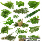 Reduce High Creatinine Level 523umol/L Without Dialysis