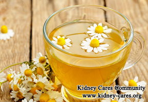 Is Chamomile Tea Beneficial for Reducing High Creatinine Level 4.1